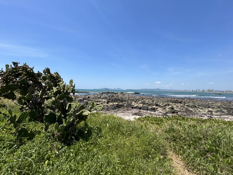 Ilha do Grant na praia de Barra Velha