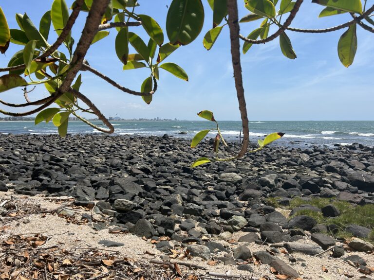 Ilha do Grant na praia de Barra Velha